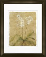 products/8141807/8141807_o01_timeless_frames