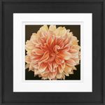 products/8880007/8880007_o01_timeless_frames