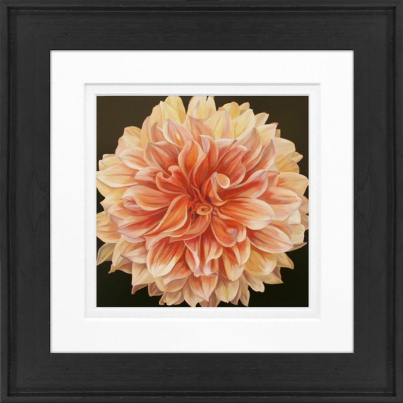 products/8880007/8880007_o01_timeless_frames