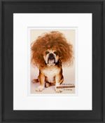 products/9003422/9003422_o01_timeless_frames
