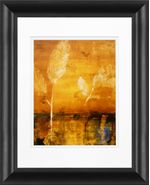 products/7725597/7725597_o01_timeless_frames