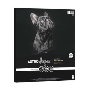 Astrodesigns Cardstock, Very Black, 12” x 12”, 65 Lb, Pack Of 60 Sheets