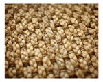 products/9680448/9680448_o11_9ft_x_12ft_cira_jute_rug