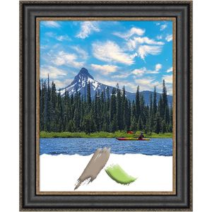 Amanti Art Picture Frame