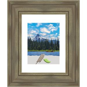 Amanti Art Alexandria Wood Picture Frame