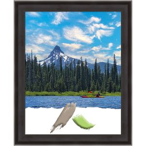 Amanti Art Allure Wood Picture Frame