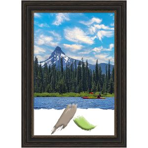 Amanti Art Picture Frame