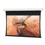 products-875435-875435_o01_da_lite_advantage_electrol_electric_projection_screen
