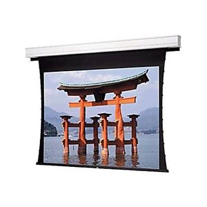 Da-Lite Tensioned Advantage Deluxe Electrol Wide Format - Projection screen - ceiling mountable - motorized - 120 V - 94" (94.1 in) - 16:10 - Da-Mat -