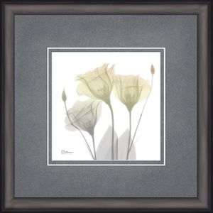 Timeless Frames® Framed Art Set