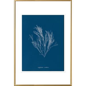 Timeless Frames® Gold Metal Framed Art