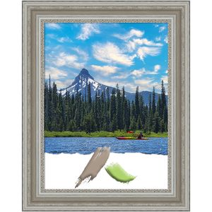 Amanti Art Picture Frame