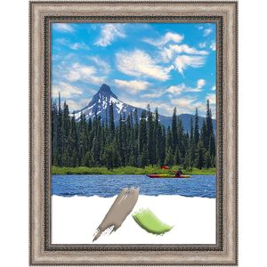 Amanti Art Lyla Ornate Silver Picture Frame