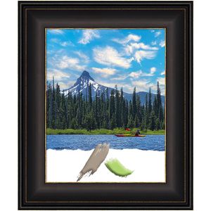 Amanti Art Picture Frame