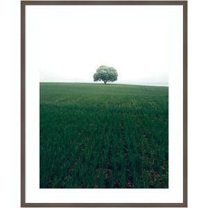 Amanti Art The Lonely Oak Tree by Christian Lindsten Wood Framed Wall Art Print