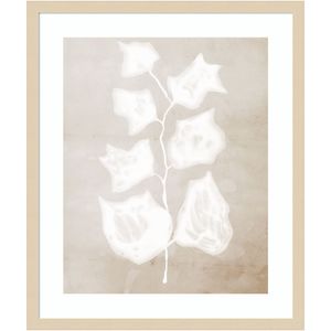 Amanti Art Paper Bark II by Urban Road Wood Framed Wall Art Print