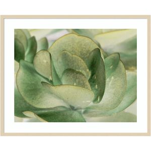 Amanti Art Petal I by Tang Ling Wood Framed Wall Art Print