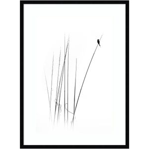 Amanti Art A Sabbatical Bird by Swapnil Wood Framed Wall Art Print