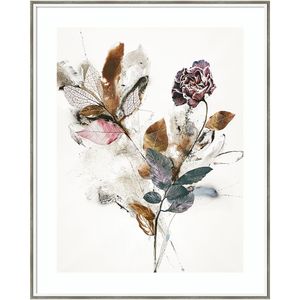 Amanti Art Playing Flower 1 by Design Fabrikken Wood Framed Wall Art Print