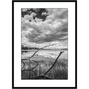 Amanti Art USA