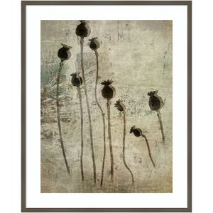 Amanti Art Poppy Seedlings by Nel Talen Wood Framed Wall Art Print