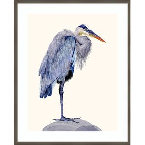 Amanti Art Heron Study II by Melissa Wang Wood Framed Wall Art Print
