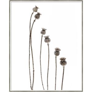 Amanti Art Last Years Flowering Poppies by Lotte Gronkjar Wood Framed Wall Art Print