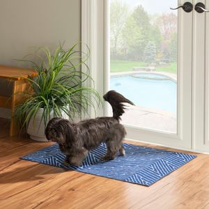 Linon Washable Indoor Rug