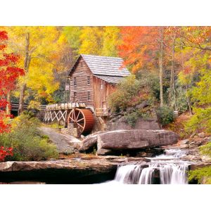 Biggies Landscape/Seascape Mural