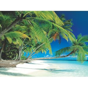 Biggies Landscape/Seascape Mural