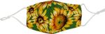 products/2468002/2468002_o01