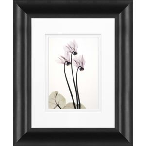 Timeless Frames Marren Framed Floral Artwork