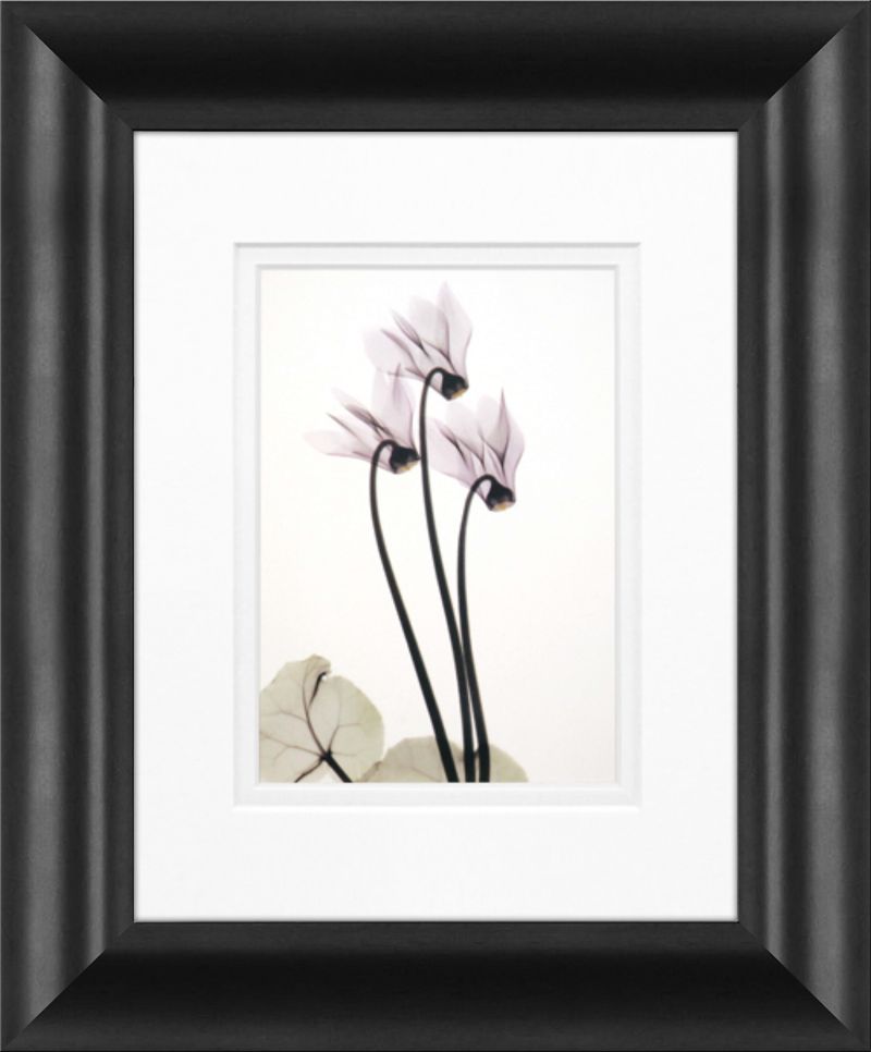 products/8952925/8952925_o01_timeless_frames