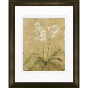 Timeless Frames Katrina Framed Floral Artwork