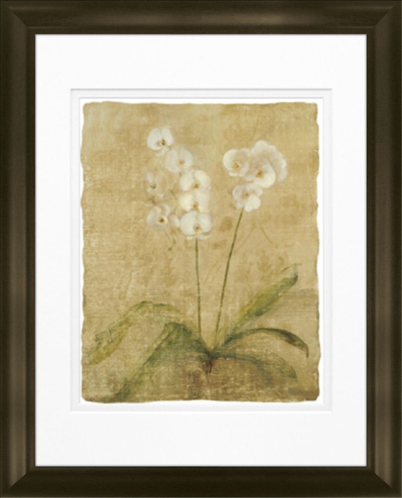 products/8141807/8141807_o01_timeless_frames