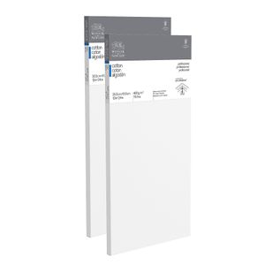 Winsor & Newton Professional Cotton-Stretched Traditional Canvases