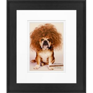 Timeless Frames Alexis Framed Animal Artwork