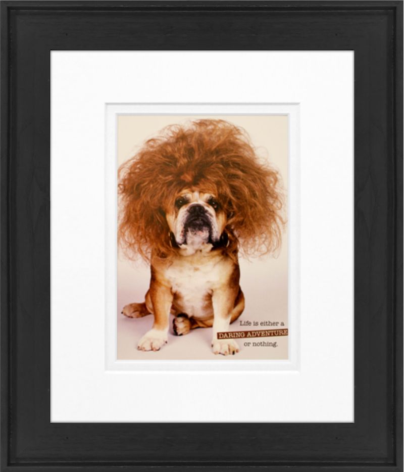 products/9003422/9003422_o01_timeless_frames