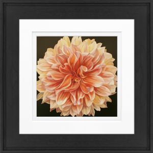 Timeless Frames Alexis Framed Floral Artwork