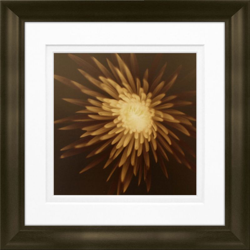 products/8682897/8682897_o01_timeless_frames