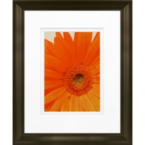 Timeless Frames Marren Espresso-Framed Floral Artwork