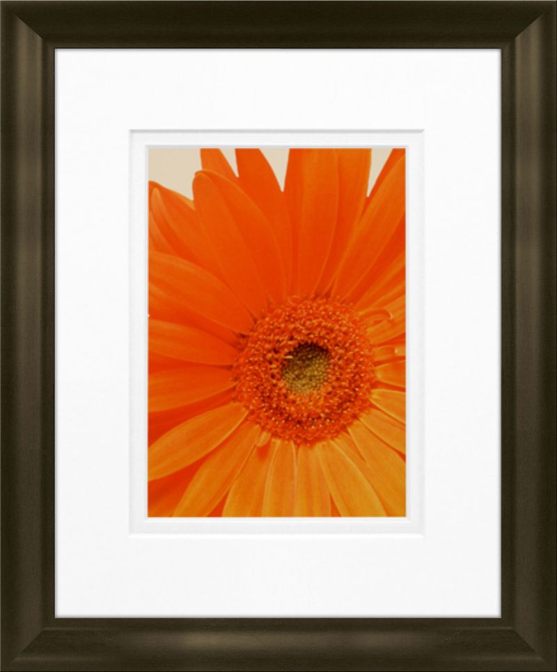 products/8190313/8190313_o01_timeless_frames_daisy