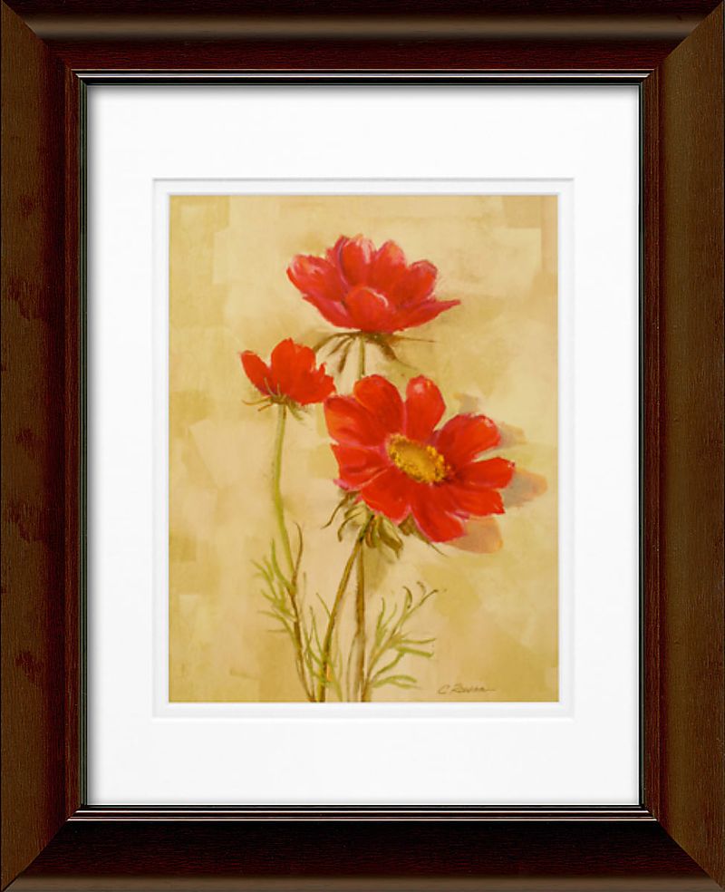 products/7699046/7699046_o01_timeless_frames_spicy_red_cosmos