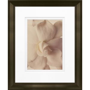 Timeless Frames Marren Espresso-Framed Floral Artwork