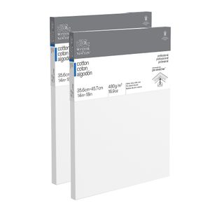 Winsor & Newton Professional Cotton-Stretched Traditional Canvases