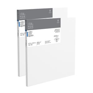 Winsor & Newton Professional Cotton-Stretched Traditional Canvases