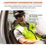 Ergodyne 6665 L Lime Evaporative Cooling Vest