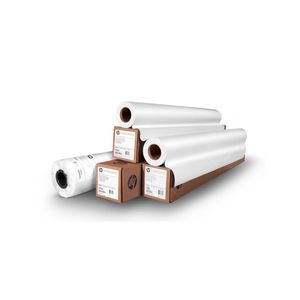 HP Professional Matte Canvas Paper