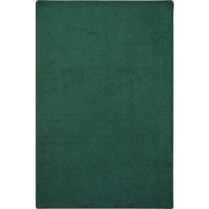 Joy Carpets Kid Essentials Solid Color Rectangle Area Rug